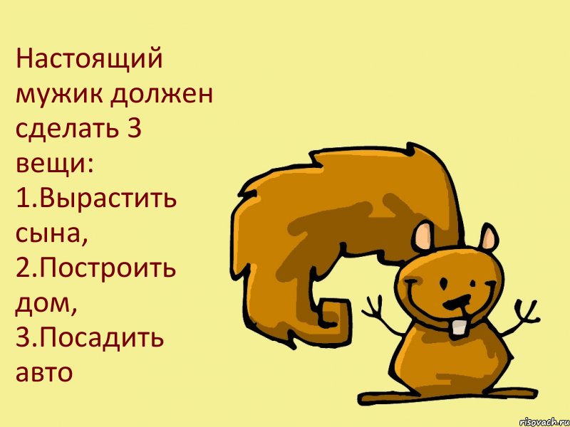 Настоящий мужик должен сделать 3 вещи: 1.Вырастить сына, 2.Построить дом, 3.Посадить авто, Комикс  белка