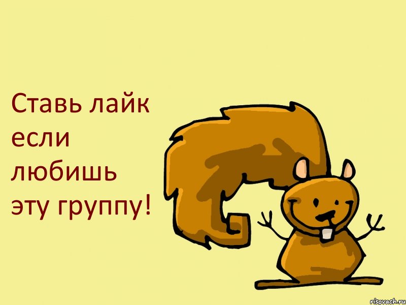 Ставь лайк если любишь эту группу!, Комикс  белка