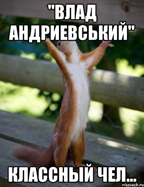 "Влад Андриевський" Классный чел..., Мем    белка молится