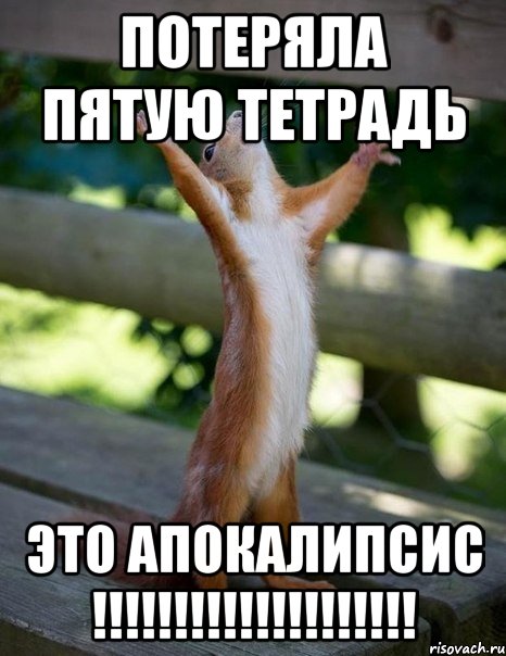 Потеряла пятую тетрадь ЭТО АПОКАЛИПСИС !!!!!!!!!!!!!!!!!!!!, Мем    белка молится
