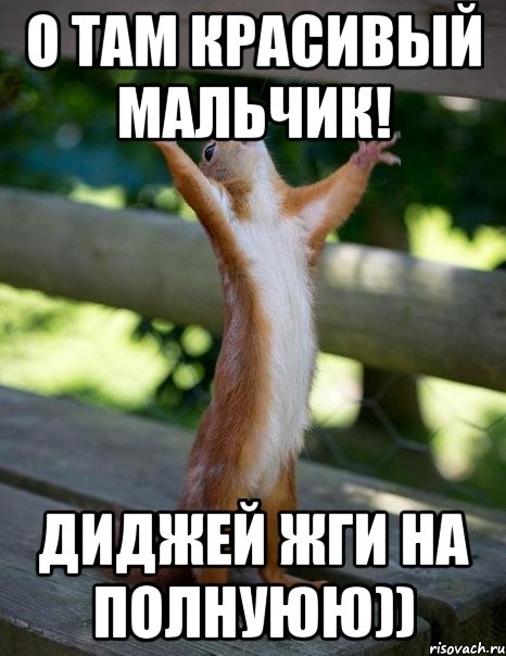 О там красивый мальчик! Диджей жги на полнуюю)), Мем    белка молится