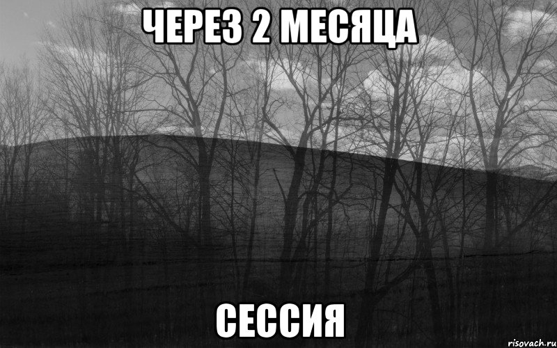 Через 2 месяца сессия, Мем безысходность лес