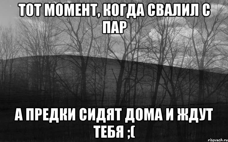 Тот момент, когда свалил с пар А предки сидят дома и ждут тебя ;(, Мем безысходность лес