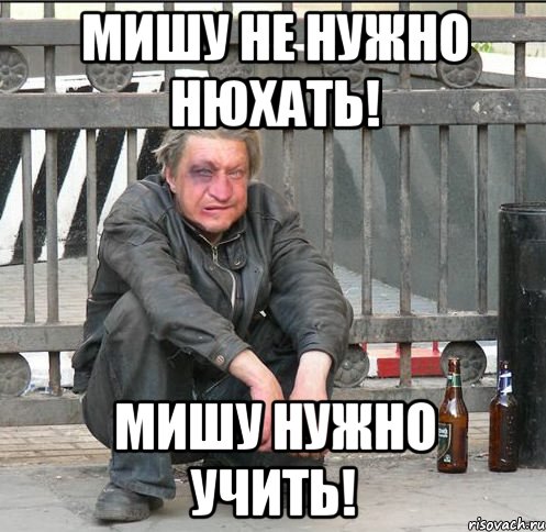 Мишу не нужно нюхать! Мишу нужно учить!