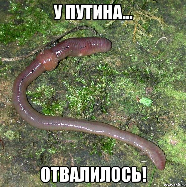 У Путина... ОТВАЛИЛОСЬ!