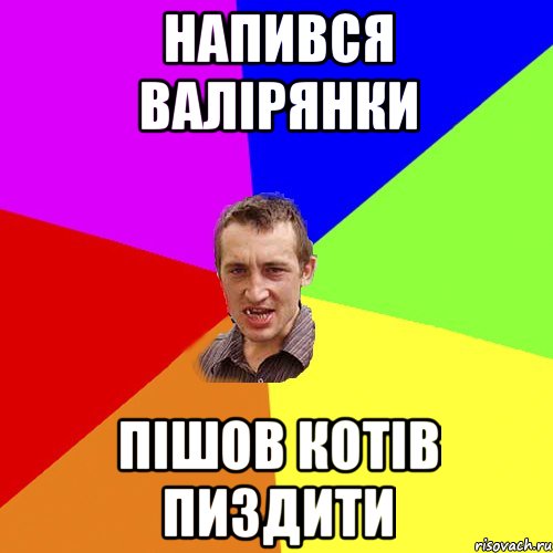 Напився валірянки Пішов котів пиздити, Мем Чоткий паца