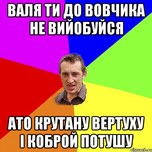 Валя ти до Вовчика не вийобуйся ато крутану вертуху і коброй потушу, Мем Чоткий паца