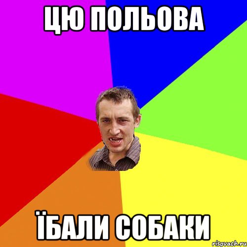 цю Польова їбали собаки, Мем Чоткий паца