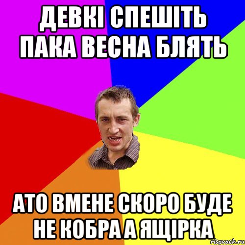 девкi спешiть пака весна блять ато вмене скоро буде не кобра а ящiрка, Мем Чоткий паца