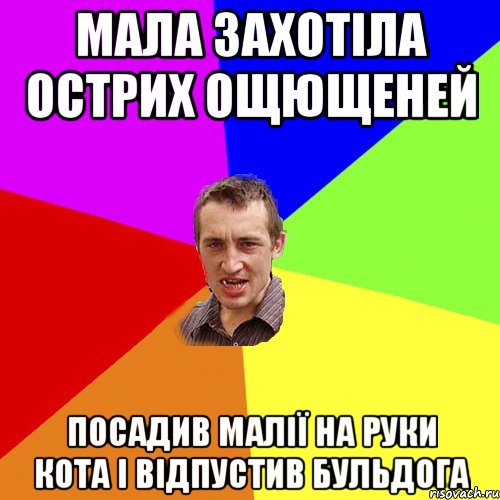 мала захотіла острих ощющеней посадив малії на руки кота і відпустив бульдога, Мем Чоткий паца