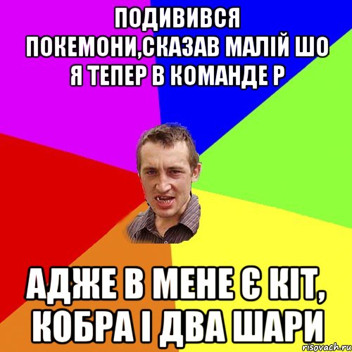 Подивився Покемони,сказав малій шо я тепер в команде Р адже в мене є кіт, кобра і два шари, Мем Чоткий паца