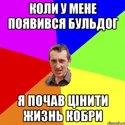 коли у мене появився бульдог я почав цінити жизнь кобри, Мем Чоткий паца