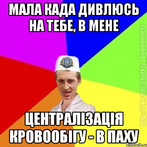 мала када дивлюсь на тебе, в мене централізація кровообігу - в паху