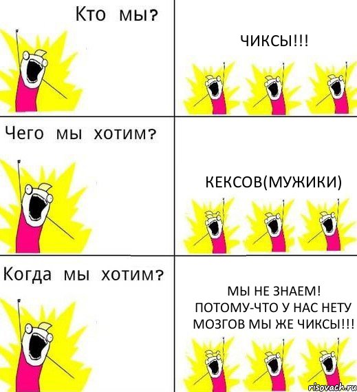 ЧИКСЫ!!! КЕКСОВ(мужики) мы не знаем! Потому-что у нас нету мозгов мы же ЧИКСЫ!!!, Комикс Что мы хотим