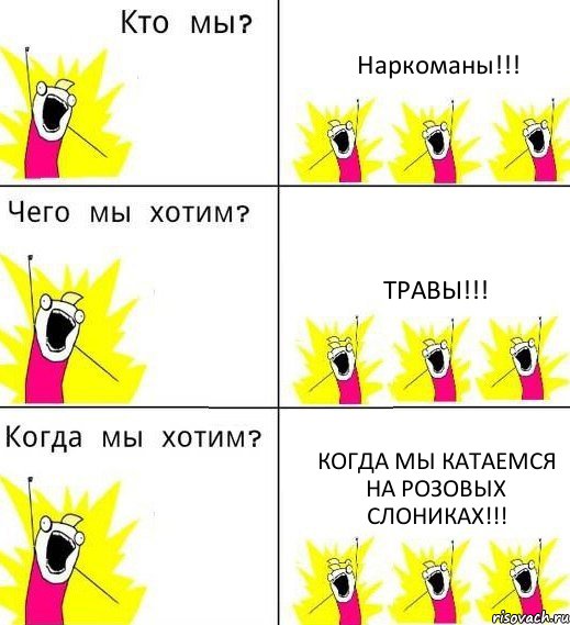 Наркоманы!!! Травы!!! Когда мы катаемся на розовых слониках!!!, Комикс Что мы хотим