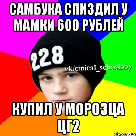 САМБУКА СПИЗДИЛ У МАМКИ 600 РУБЛЕЙ КУПИЛ У МОРОЗЦА ЦГ2, Мем  Циничный школьник 1