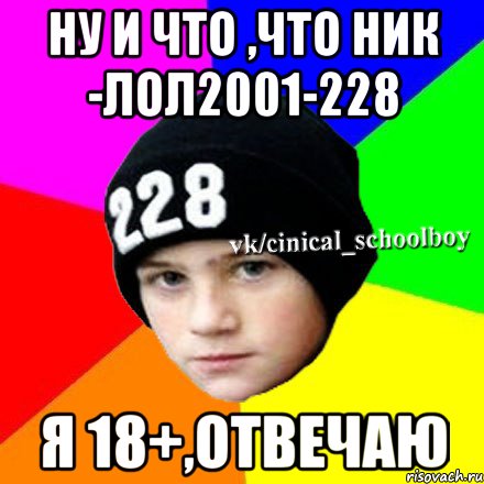 Ну и что ,что ник -лол2001-228 Я 18+,отвечаю