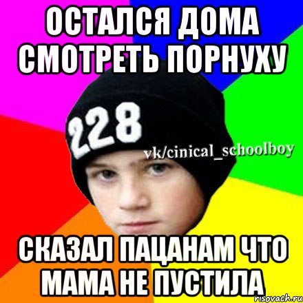 Остался дома смотреть порнуху Сказал пацанам что мама не пустила, Мем  Циничный школьник 1