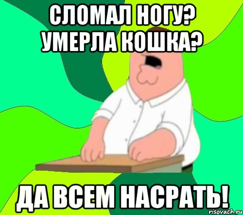 Сломал ногу? Умерла кошка? Да всем насрать!, Мем  Да всем насрать (Гриффин)