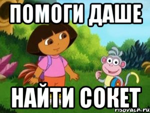 помоги даше найти сокет