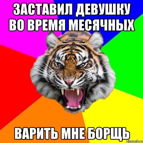 Заставил девушку во время месячных варить мне борщь, Мем  ДЕРЗКИЙ ТИГР