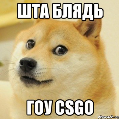 Шта Блядь Гоу CSGO, Мем doge woof