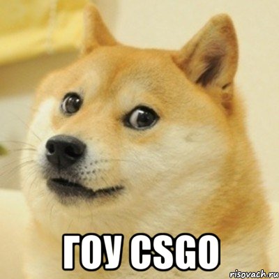  Гоу CSGO, Мем doge woof