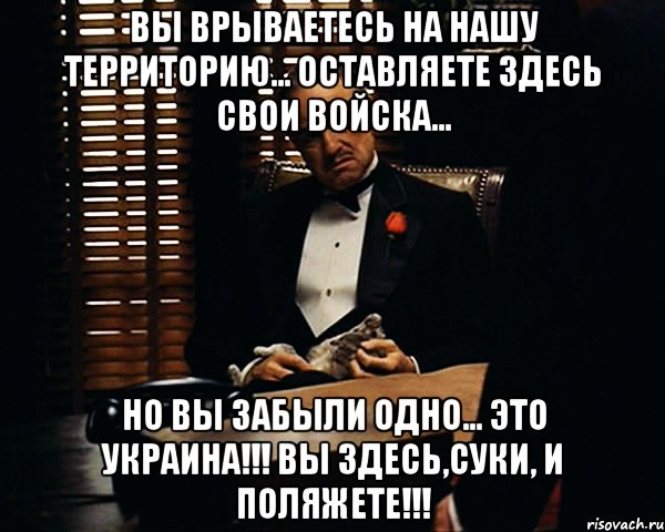 Вы врываетесь на нашу территорию... Оставляете здесь свои войска... Но вы забыли одно... Это Украина!!! Вы здесь,Суки, и поляжете!!!, Мем Дон Вито Корлеоне