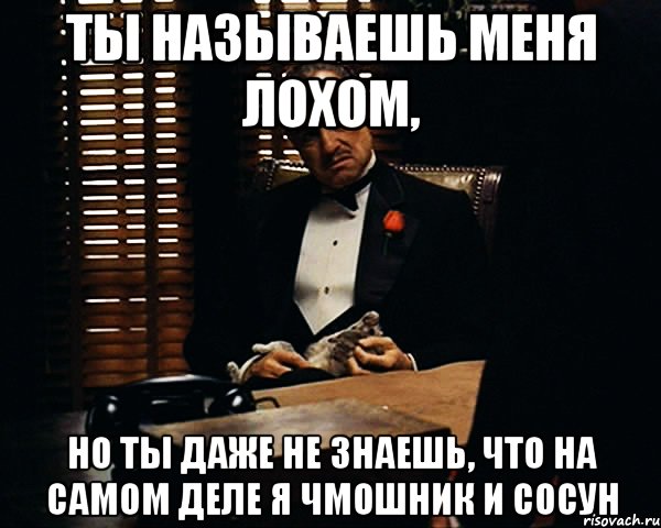 Ты называешь меня лохом, но ты даже не знаешь, что на самом деле я чмошник и сосун, Мем Дон Вито Корлеоне