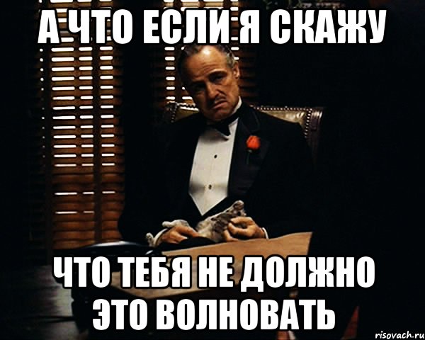 а что если я скажу что тебя не должно это волновать, Мем Дон Вито Корлеоне