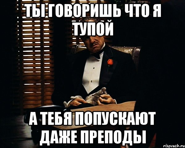 ТЫ ГОВОРИШЬ ЧТО Я ТУПОЙ А ТЕБЯ ПОПУСКАЮТ ДАЖЕ ПРЕПОДЫ, Мем Дон Вито Корлеоне