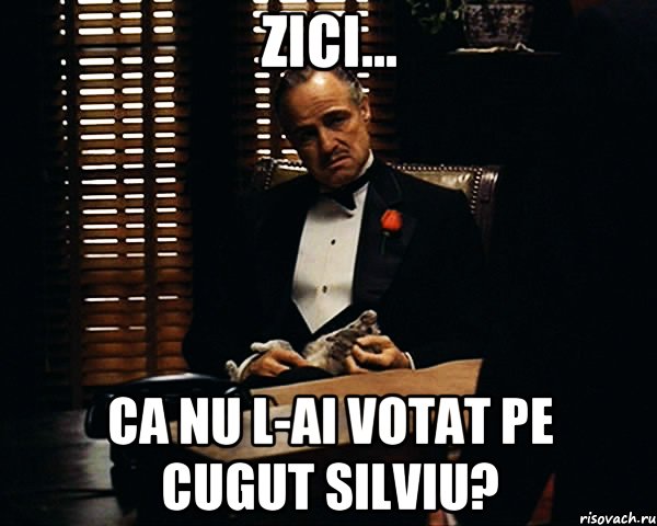 Zici... ca nu l-ai votat pe Cugut Silviu?, Мем Дон Вито Корлеоне