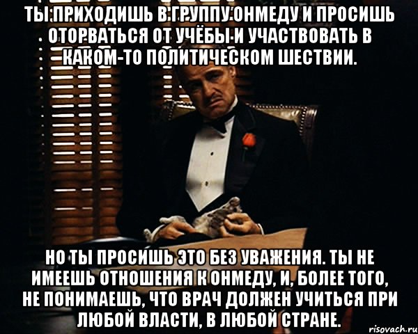 Ты приходишь в группу ОНМедУ и просишь оторваться от учёбы и участвовать в каком-то политическом шествии. Но ты просишь это без уважения. Ты не имеешь отношения к ОНМедУ, и, более того, не понимаешь, что врач должен учиться при любой власти, в любой стране., Мем Дон Вито Корлеоне