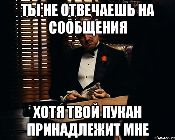 ты не отвечаешь на сообщения хотя твой пукан принадлежит мне, Мем Дон Вито Корлеоне