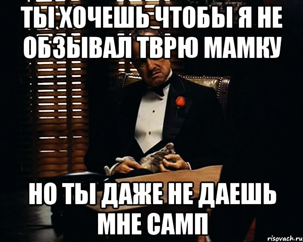 Ты хочешь чтобы я не обзывал тврю мамку Но ты даже не даешь мне самп, Мем Дон Вито Корлеоне