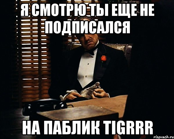 Я смотрю ты еще не подписался на паблик Tigrrr, Мем Дон Вито Корлеоне