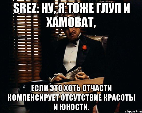 srez: Ну, я тоже глуп и хамоват, если это хоть отчасти компенсирует отсутствие красоты и юности., Мем Дон Вито Корлеоне