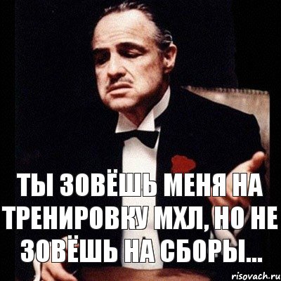 Ты зовёшь меня на тренировку МХЛ, но не зовёшь на сборы..., Комикс Дон Вито Корлеоне 1