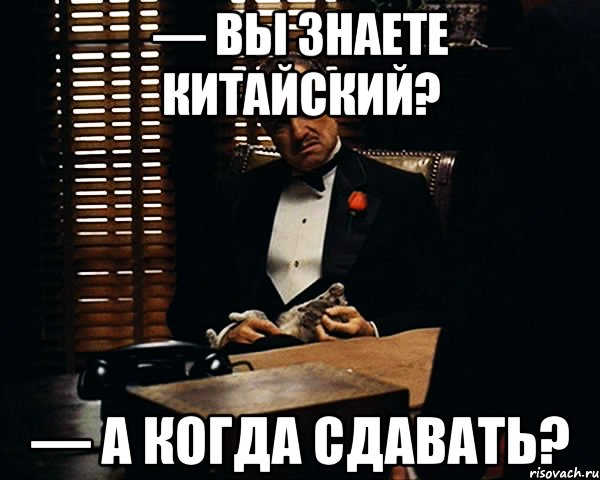 — ВЫ ЗНАЕТЕ КИТАЙСКИЙ? — А КОГДА СДАВАТЬ?, Мем Дон Вито Корлеоне