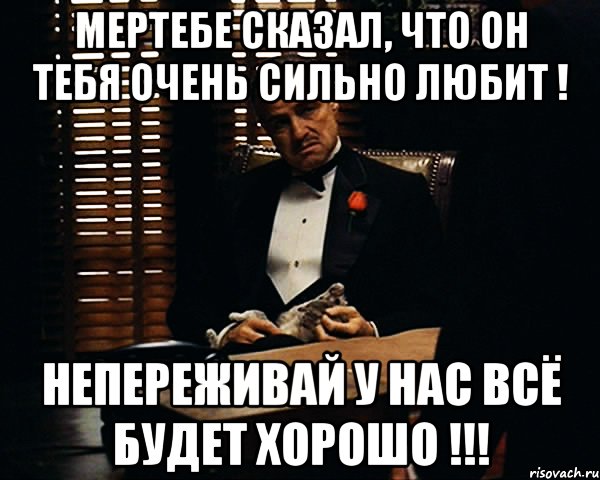 МЕРТЕБЕ СКАЗАЛ, ЧТО ОН ТЕБЯ ОЧЕНЬ СИЛЬНО ЛЮБИТ ! НЕПЕРЕЖИВАЙ У НАС ВСЁ БУДЕТ ХОРОШО !!!, Мем Дон Вито Корлеоне