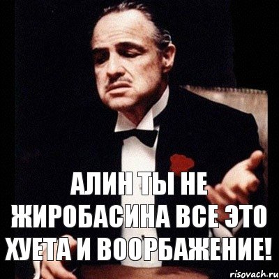 Алин ты не жиробасина все это хуета и воорбажение!, Комикс Дон Вито Корлеоне 1