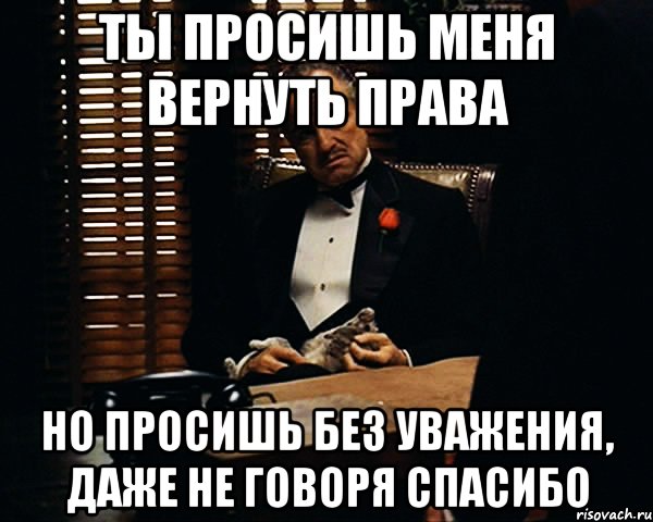 Ты просишь меня вернуть права но просишь без уважения, даже не говоря спасибо, Мем Дон Вито Корлеоне