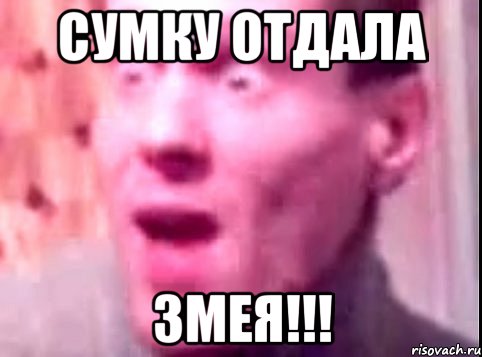 сумку отдала змея!!!, Мем Дверь мне запили