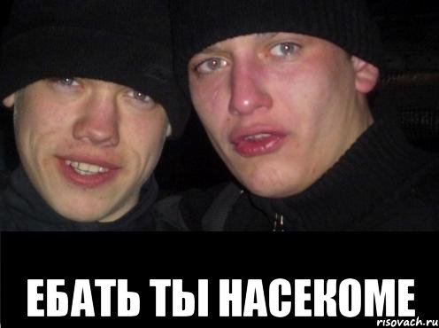  ЕБАТЬ ТЫ НАСЕКОМЕ