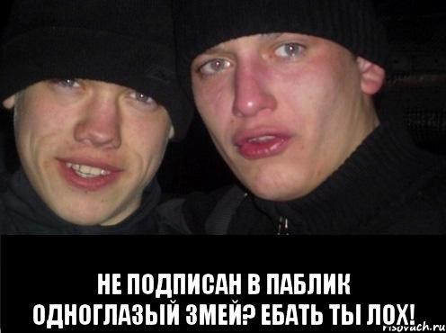  Не подписан в паблик Одноглазый змей? ЕБАТЬ ТЫ ЛОХ!, Мем Ебать ты лох