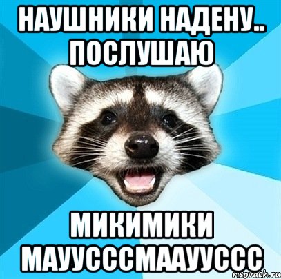 наушники надену.. послушаю микимики мауусссмааууссс, Мем Енот-Каламбурист