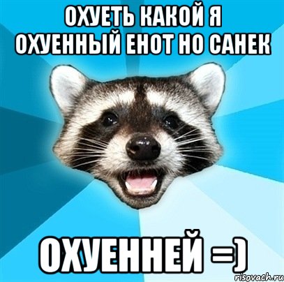 Охуеть какой я охуенный Енот но Санек Охуенней =), Мем Енот-Каламбурист