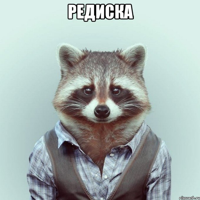 Редиска 