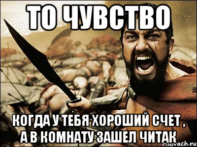 То Чувство Когда У Тебя Хороший Счет , А В Комнату Зашел ЧИТАК, Мем Это Спарта