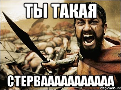 ТЫ ТАКАЯ СТЕРВААААААААААА, Мем Это Спарта